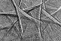 Judith Montiel i Gamito