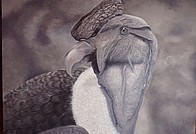 Melissa Peña de la Fuente